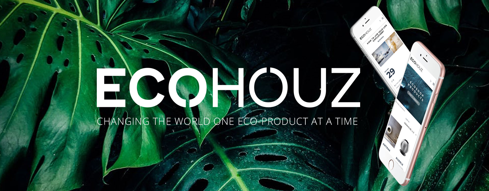 ECOHOUZ_1