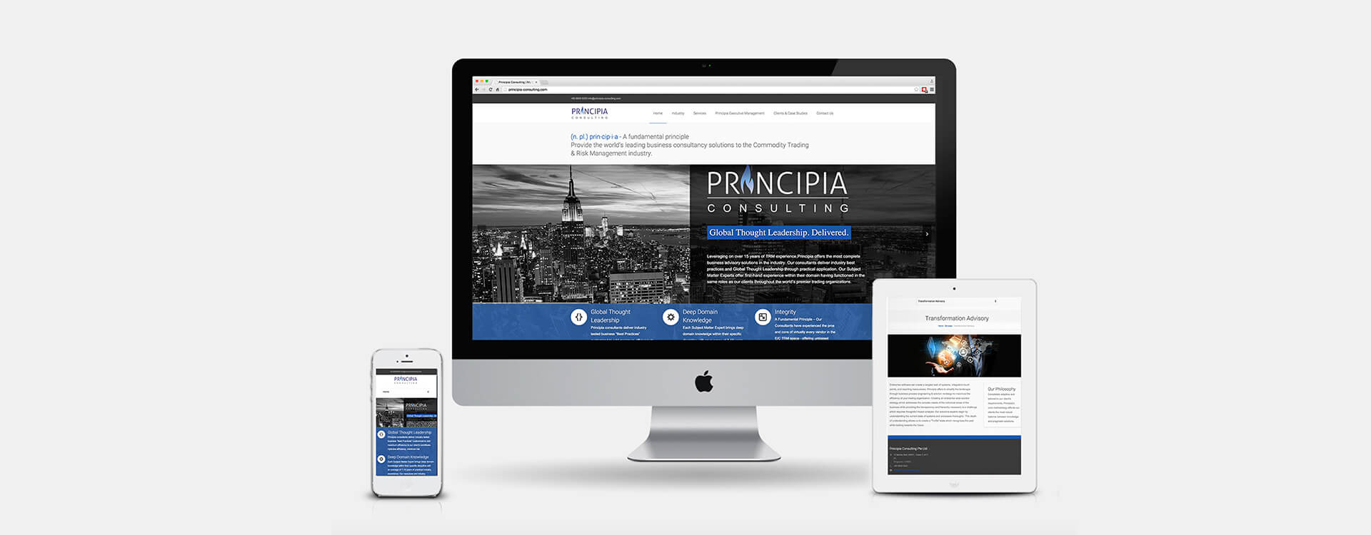 Principia-Consulting-02