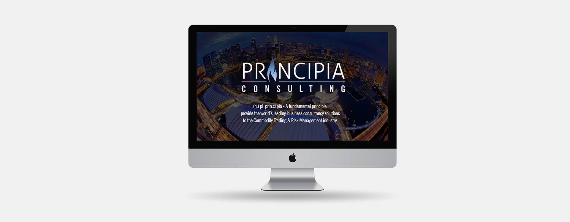 Principia-Consulting-03